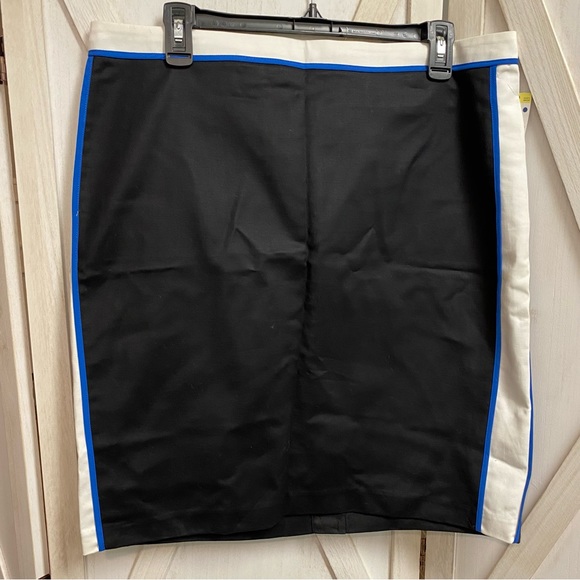 Metaphor Skirt - Picture 1 of 6